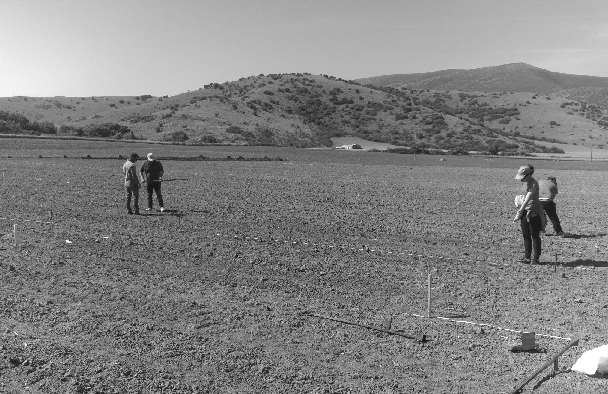 Seed research field