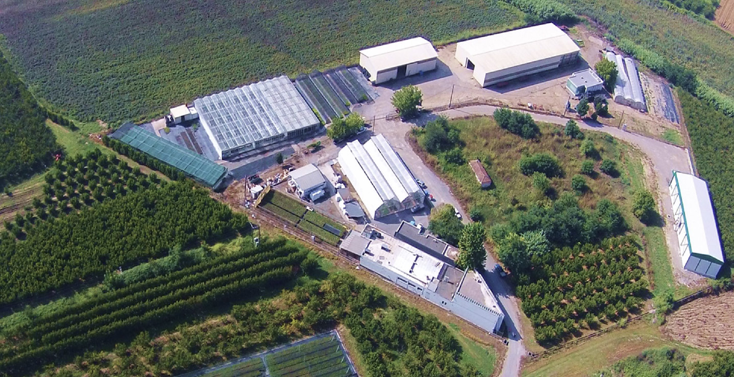 Vitro plant propagation facilities