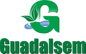 Guadalsem